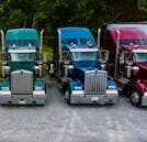 Row of vintage classic trucks of different colors parked on roadside outside warehouse against lush trees